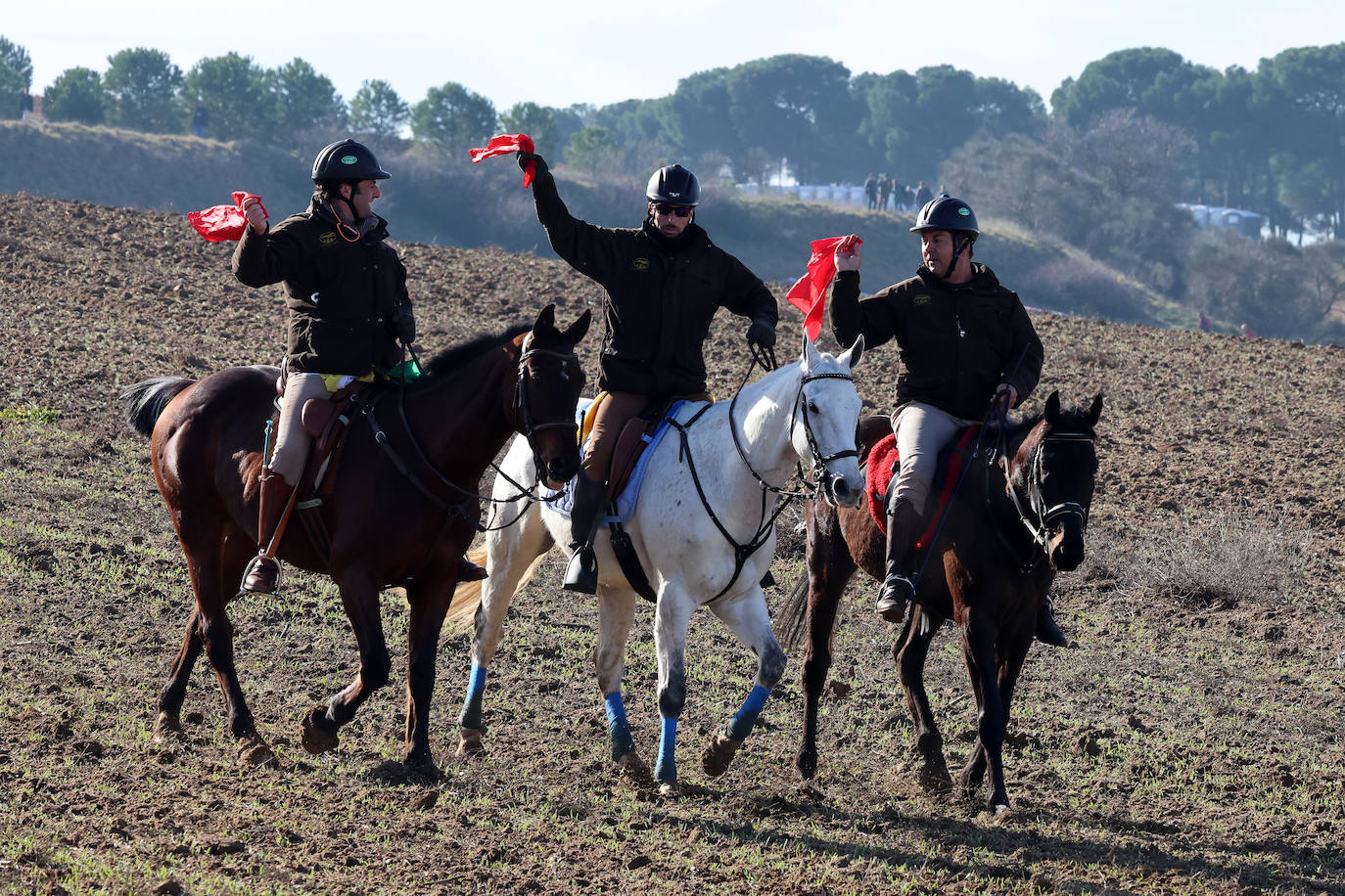 Tercera jornada de los cuartos de final del Campeonato Nacional de Galgos