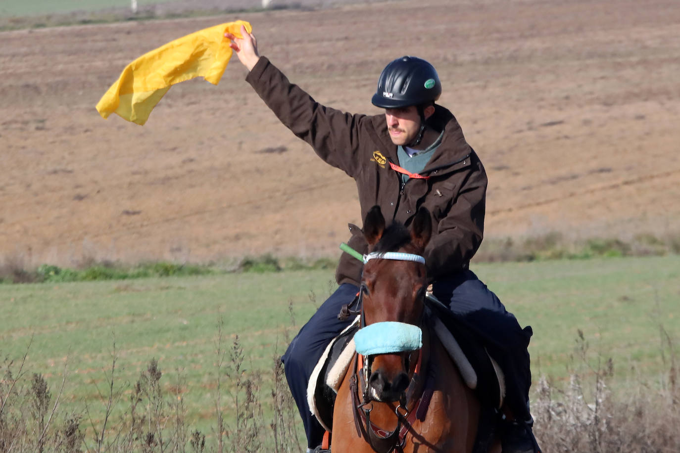 Tercera jornada de los cuartos de final del Campeonato Nacional de Galgos