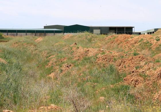 Terreno donde se construirá el depósito. Al fondo, las instalaciones de la planta de Los Huertos.