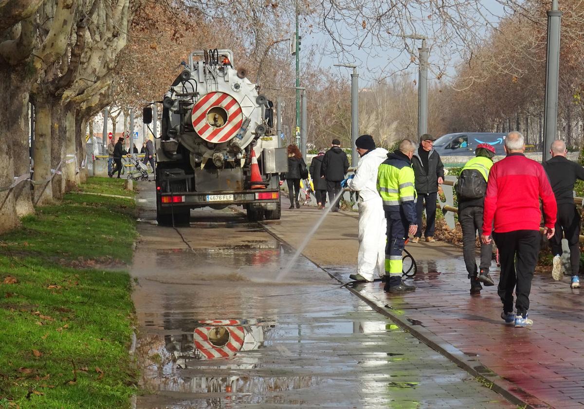 Imagen principal - Arriba, labores de limpieza del carril bici del paseo del Cauce. Debajo, a la izquierda, un operario limpia la calle Jacinto Benavente. A la derecha, precinto al borde de las obras que cierra uno de los pasos peatonales entre esta última calle y el paseo del Cauce.