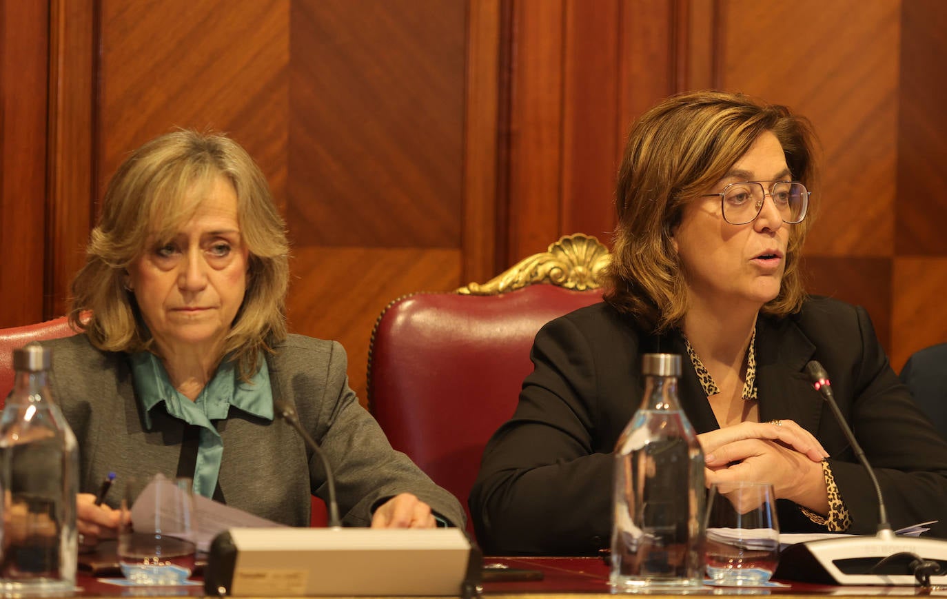 La Diputación de Palencia celebra el primer pleno ordinario del año