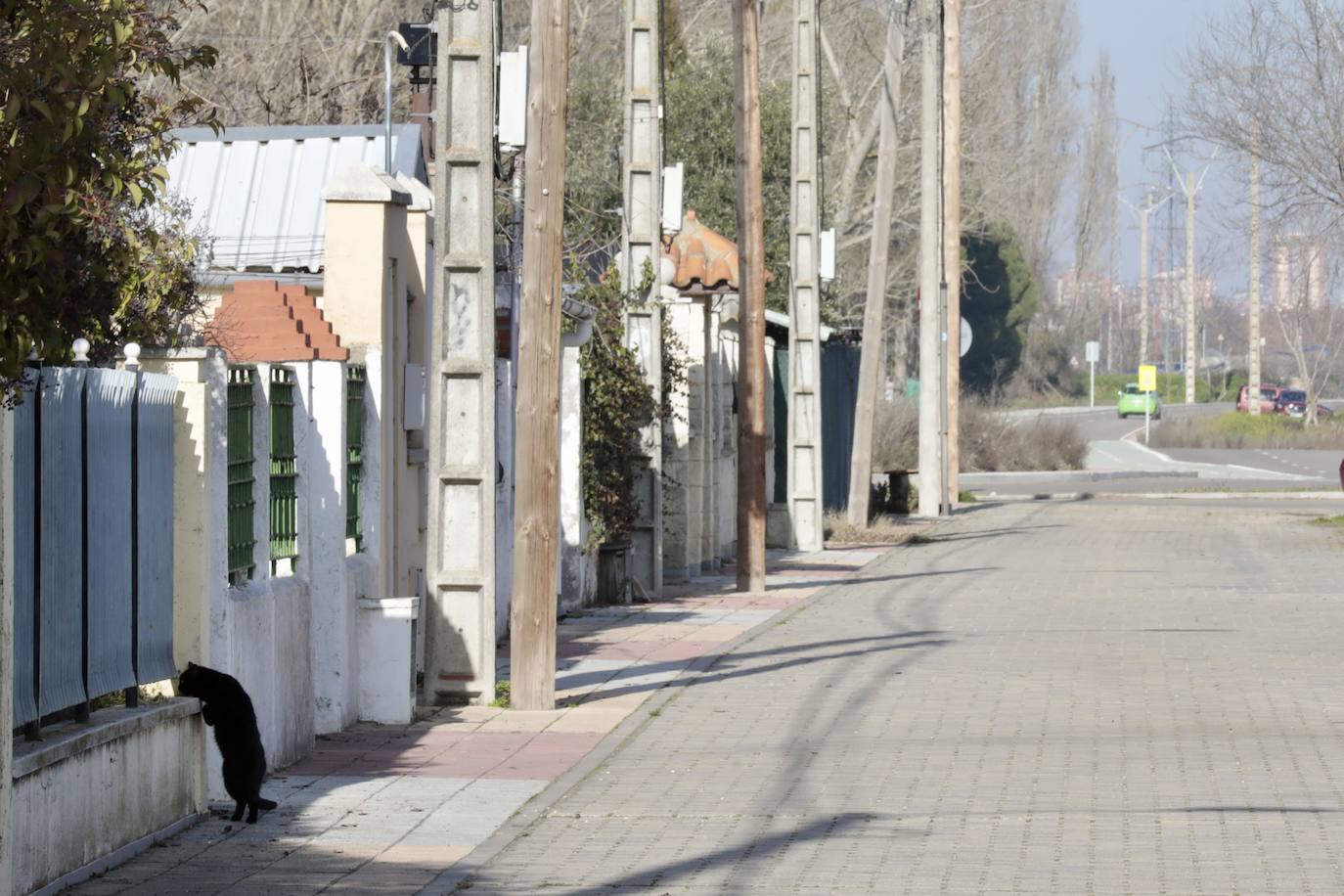 Un paseo, en imágenes, por la Cañada Real