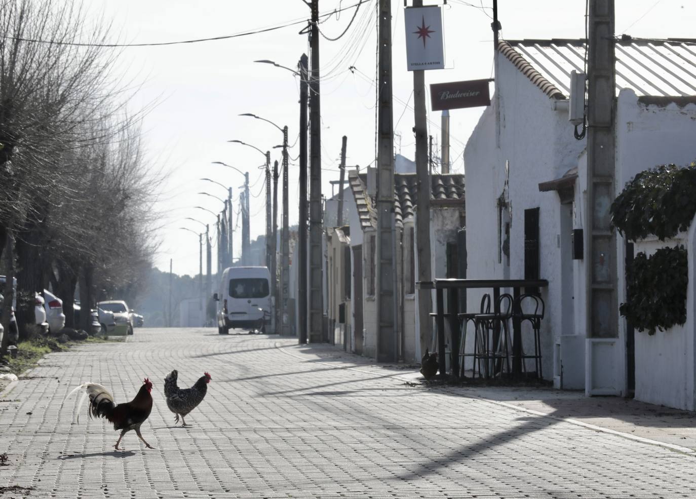 Un paseo, en imágenes, por la Cañada Real
