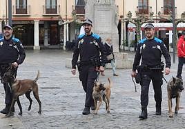Agentes de la Unidad Canina de la Policía Local, con sus perros.