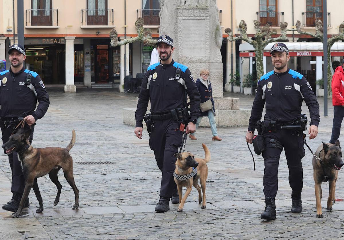 Agentes de la Unidad Canina de la Policía Local, con sus perros.