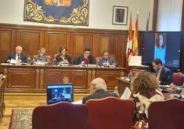 Pleno correspondiente al mes de enero, celebrado este miércoles en la Diputación de Palencia.