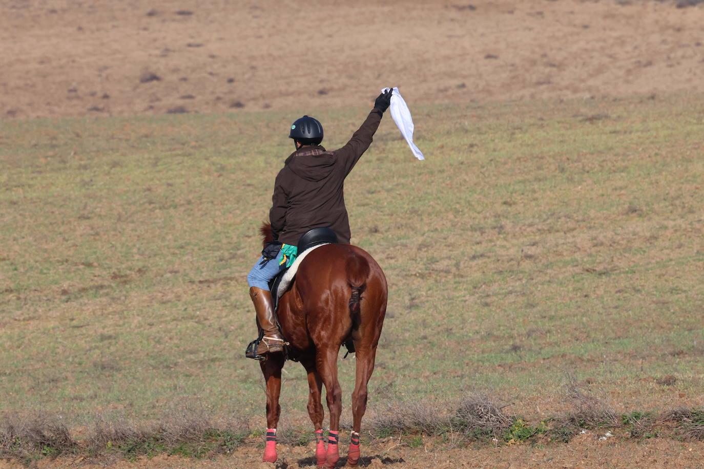 Las imágenes de la primera semifinal del Campeonato de España de Galgos