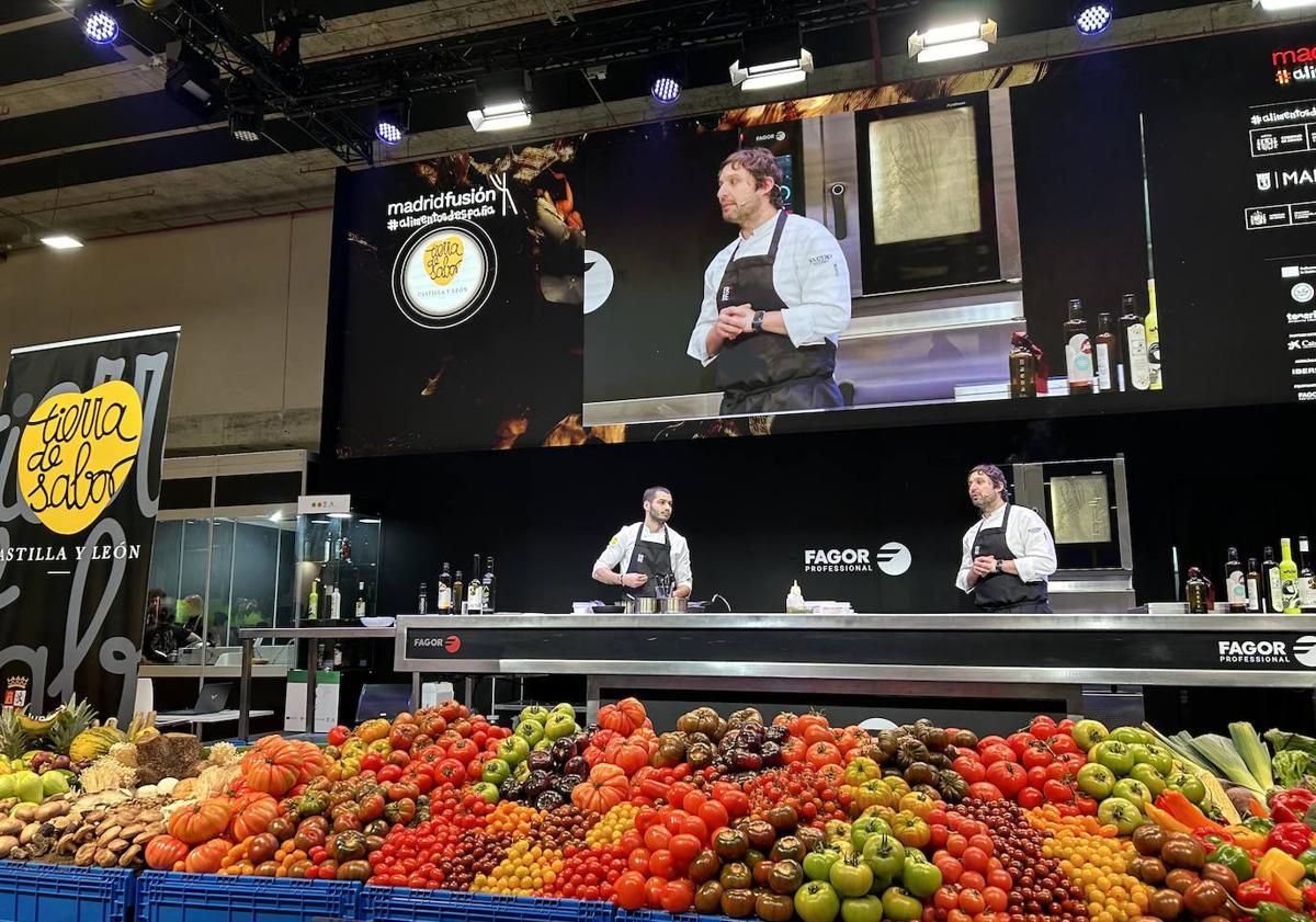 Imagen principal - Alberto Molinero durante su ponencia y los dos platos que elaboró: Trucha y leche de almendra y Mollejas de lechazo, sepietas y coliflor. MF