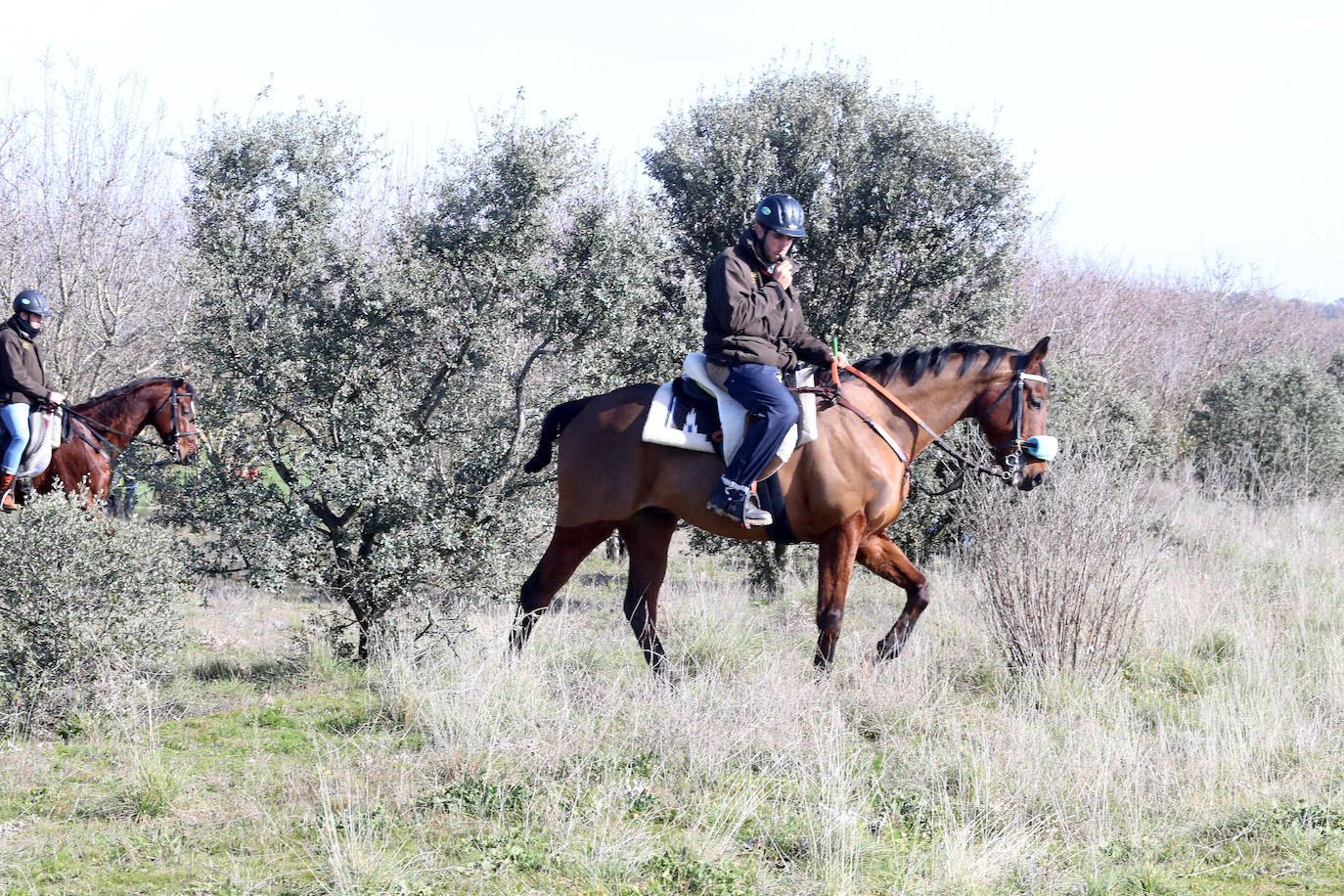 Las imágenes de la segunda semifinal del Campeonato de España de Galgos