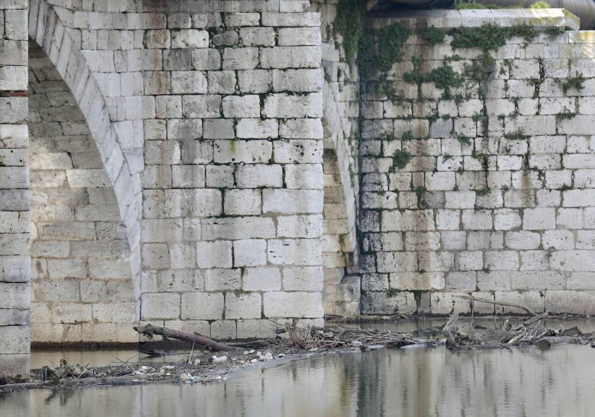 Imagen principal - Algunos de los puntos problemáticos sobre los que trabaja la Asociación, como los troncos en el Puente Mayor y la acumulación de basura.