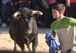 El encierro de Viana de Cega, en imágenes