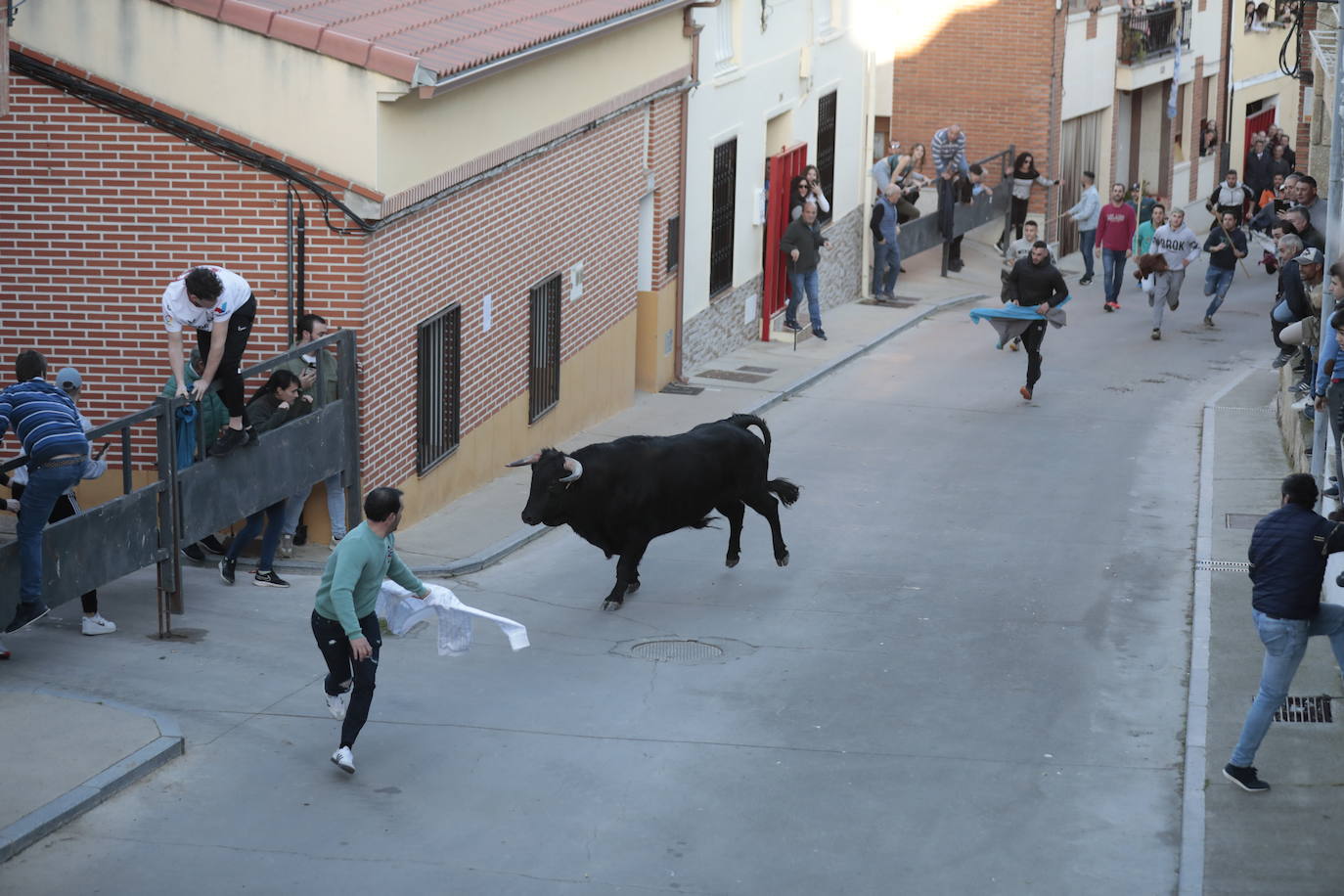 Castronuño celebra el Toro de San Blas