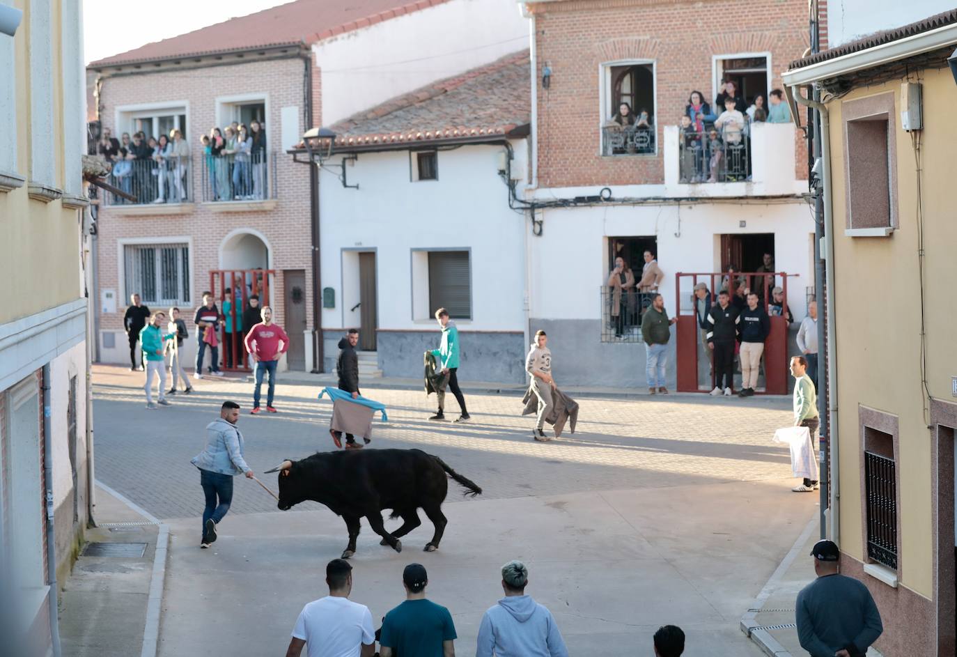 Castronuño celebra el Toro de San Blas