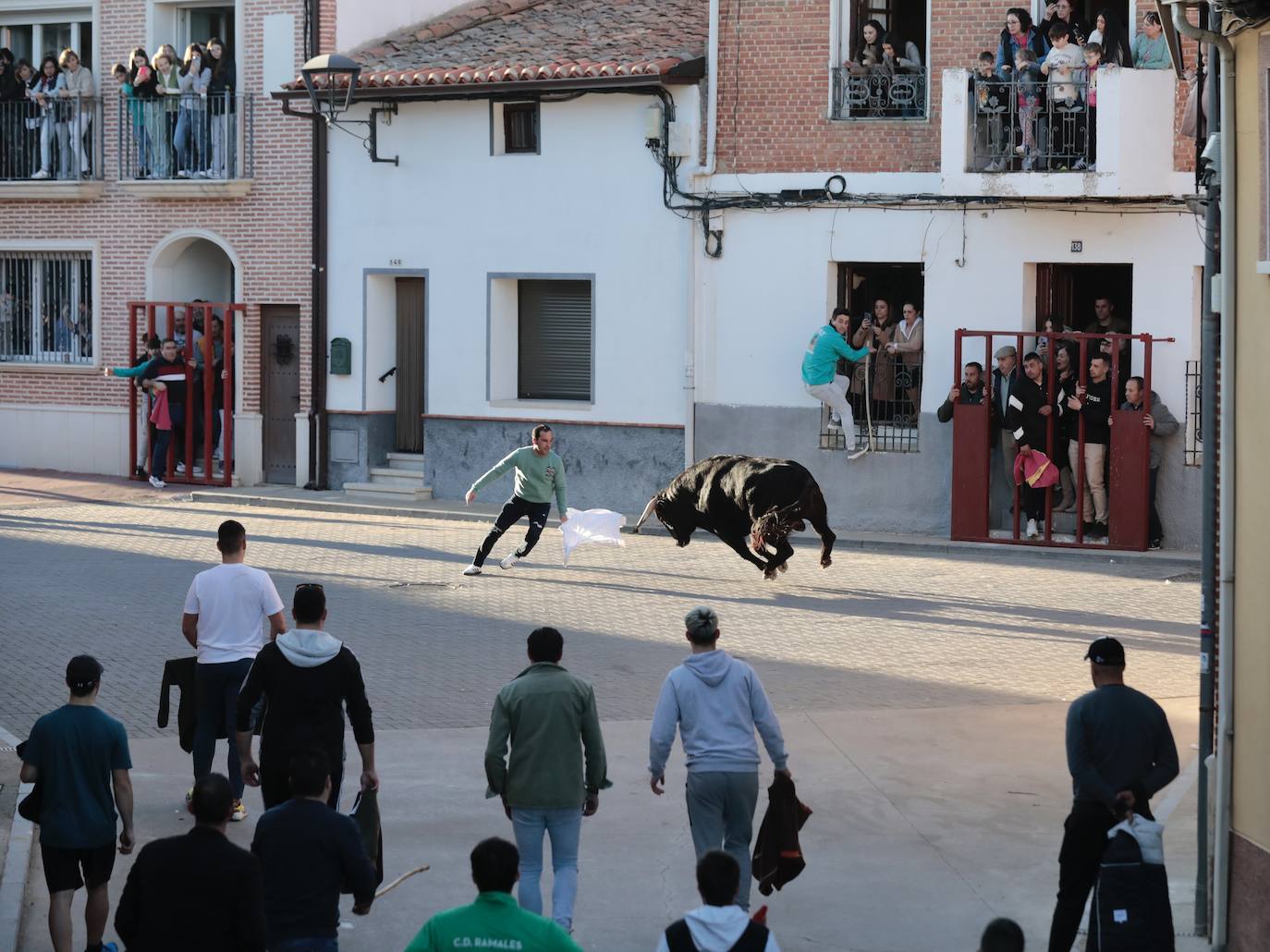 Castronuño celebra el Toro de San Blas