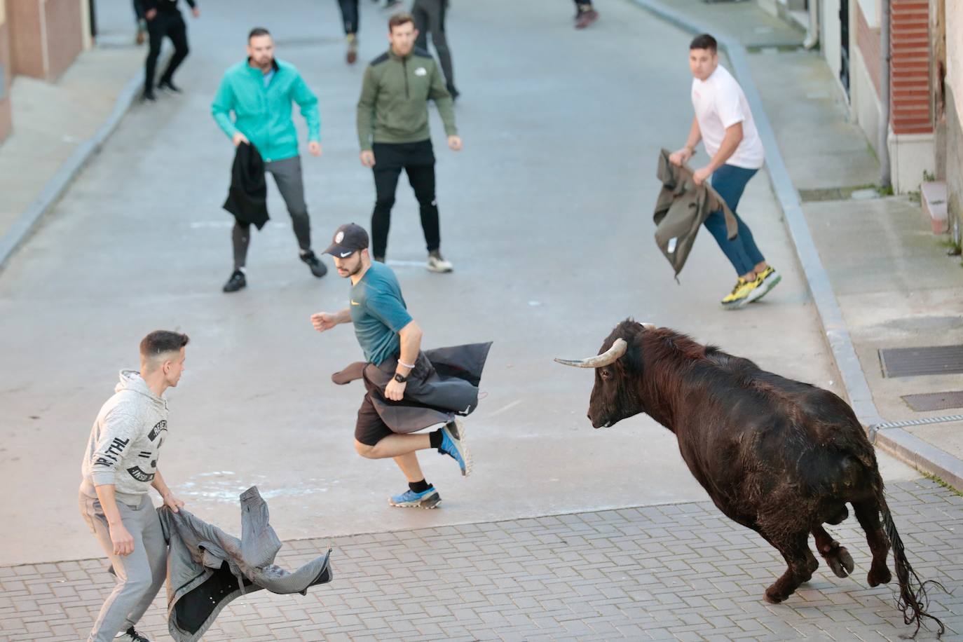 Castronuño celebra el Toro de San Blas