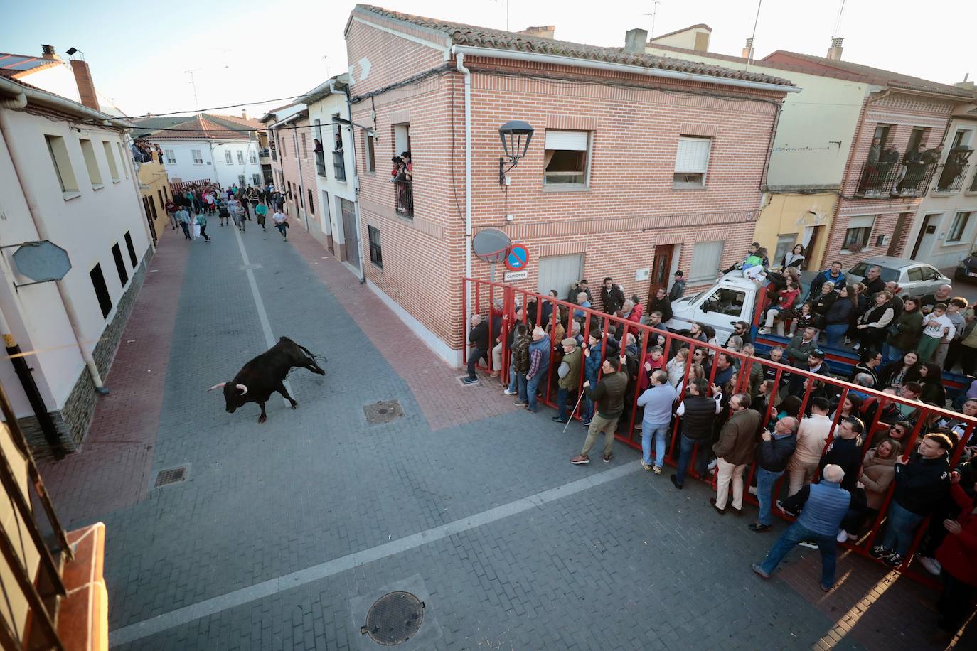 Castronuño celebra el Toro de San Blas