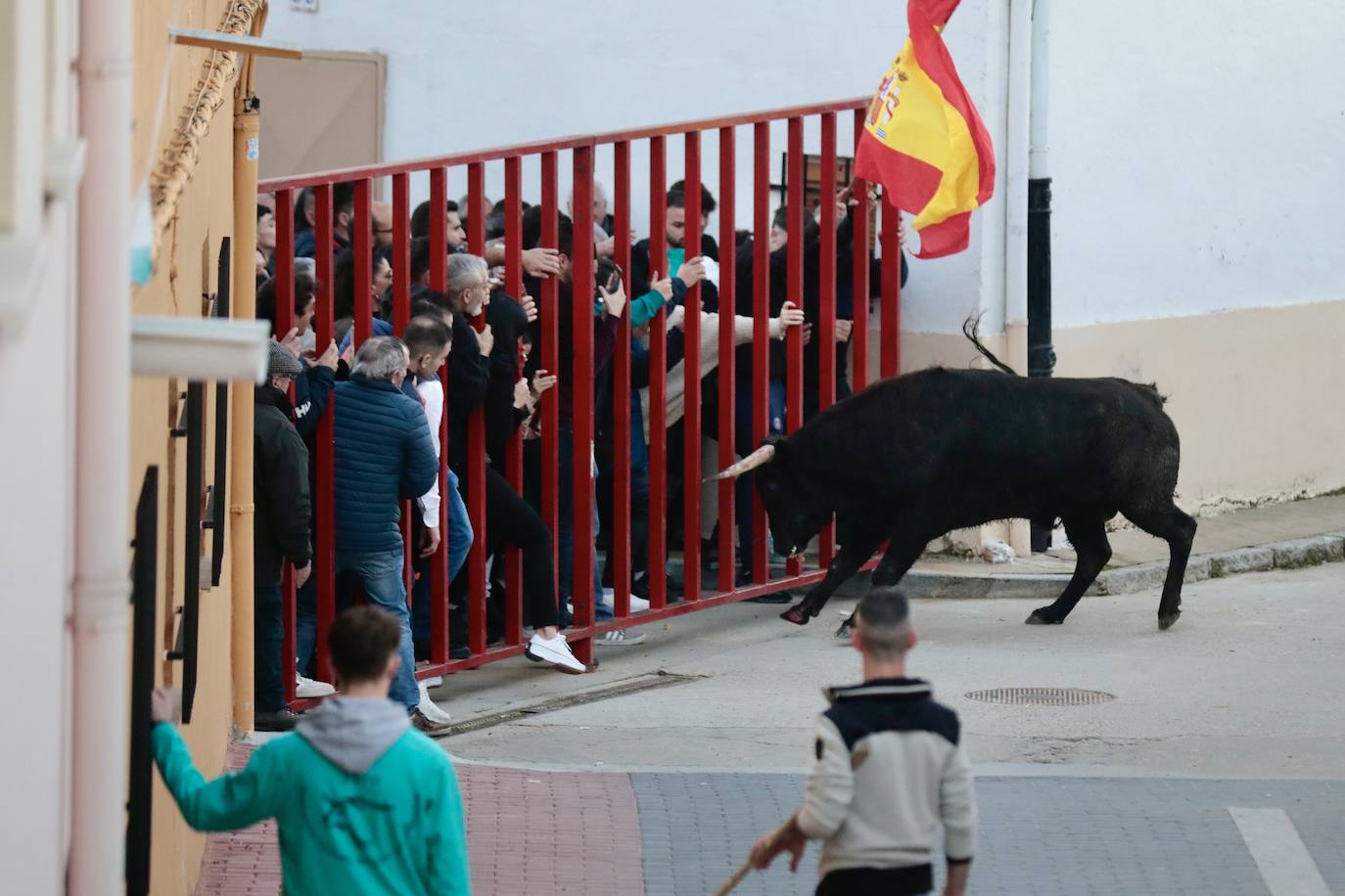 Castronuño celebra el Toro de San Blas