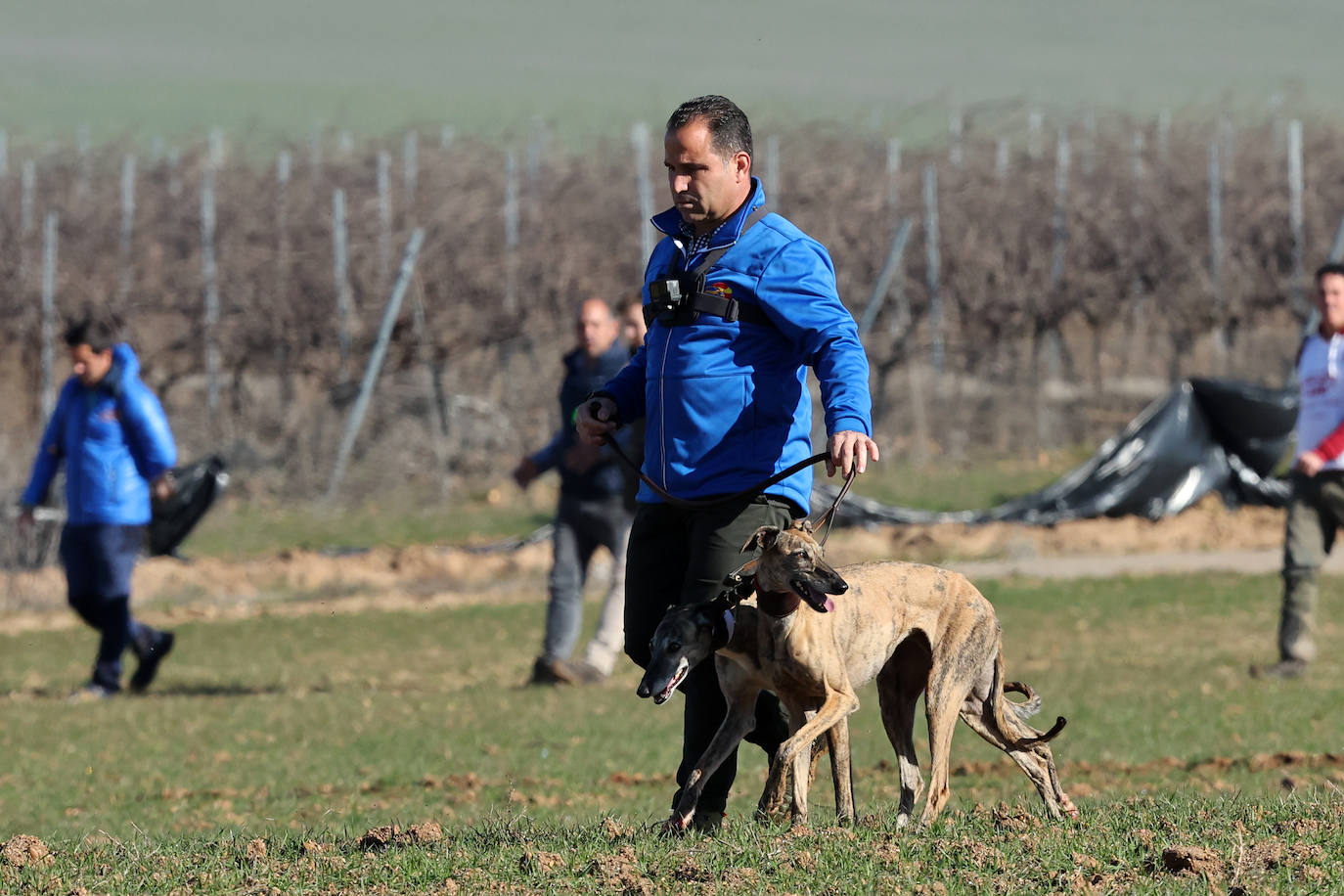 Final del Campeonato de España de Galgos en Nava del Rey