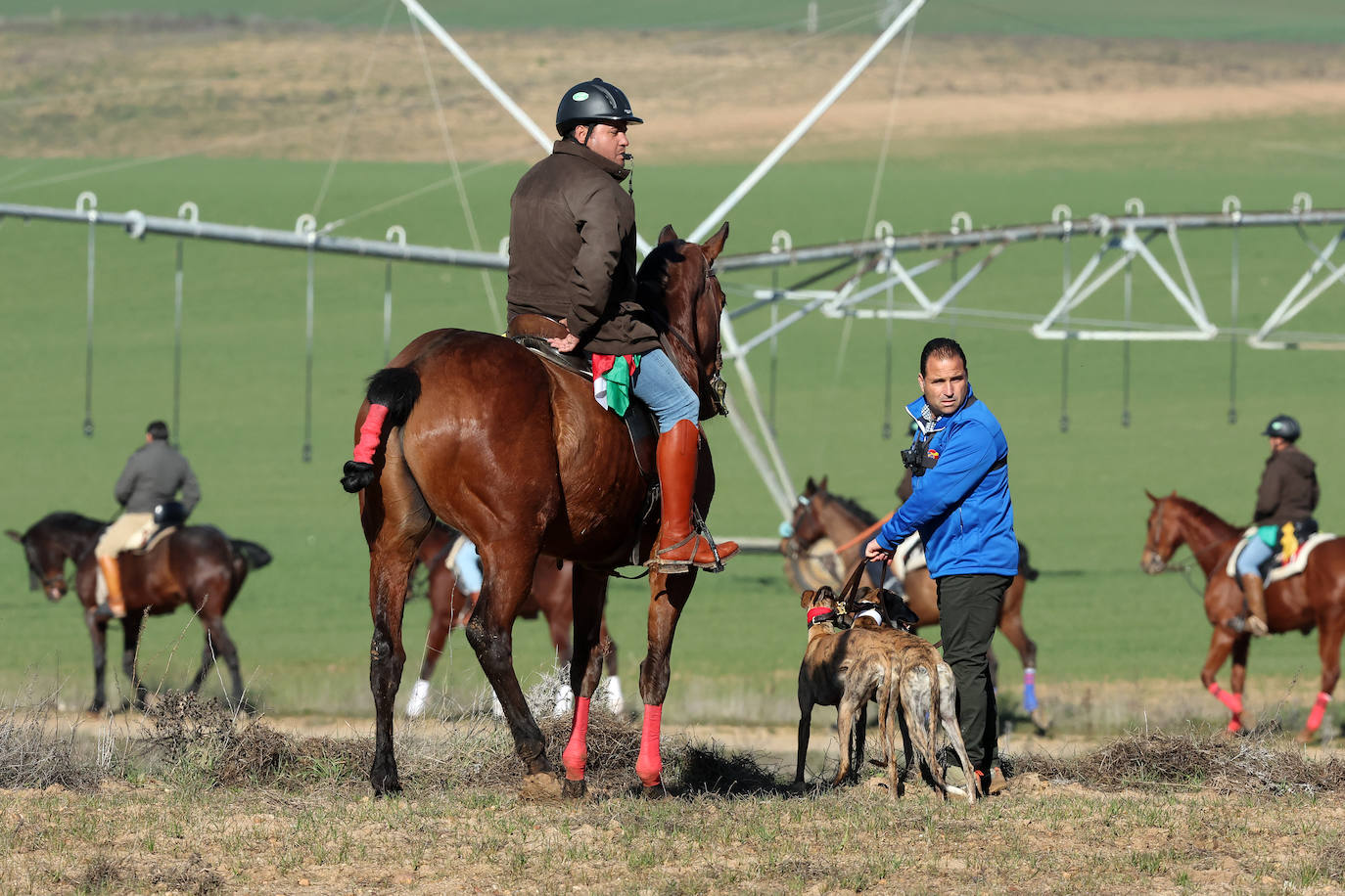 Final del Campeonato de España de Galgos en Nava del Rey