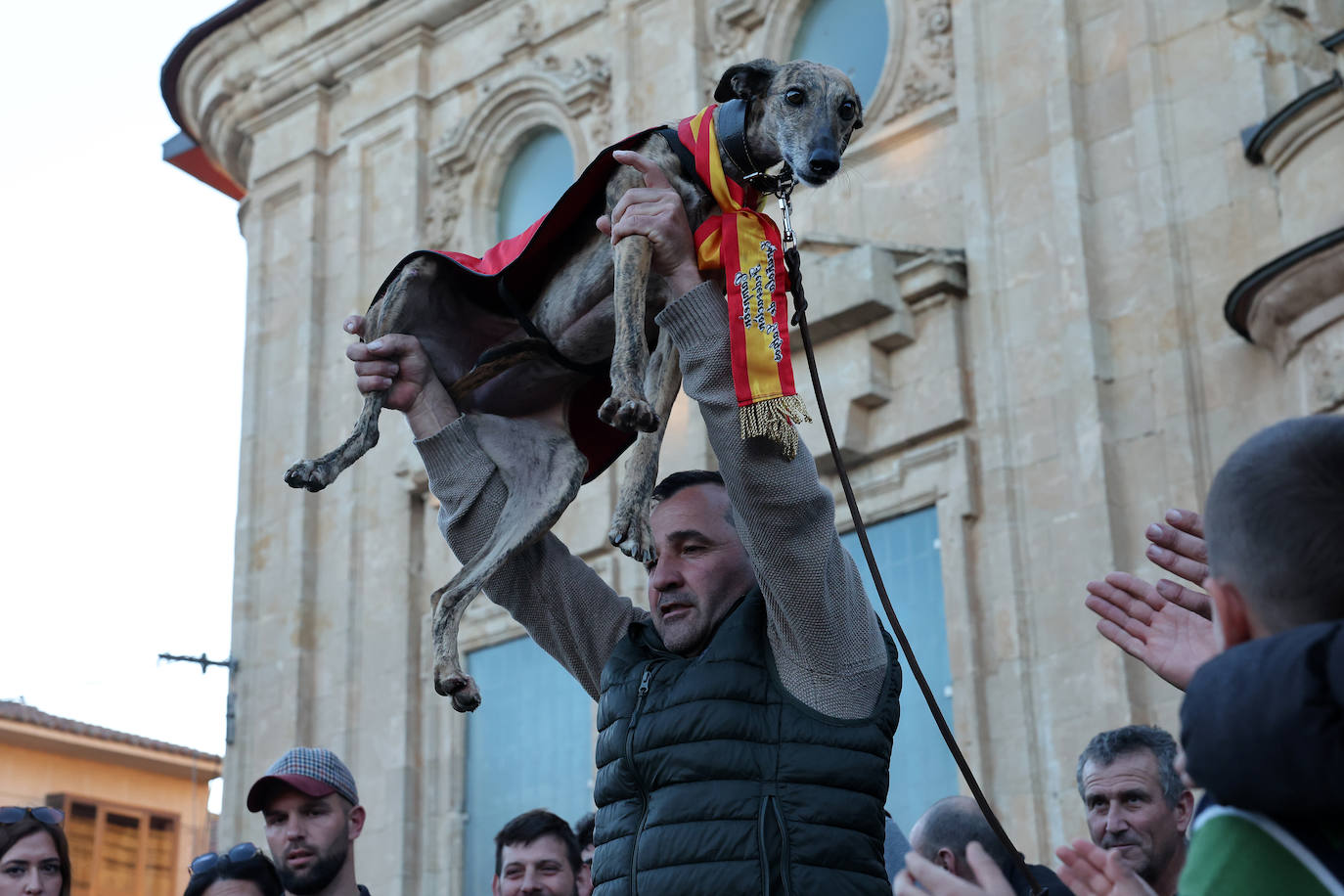 Final del Campeonato de España de Galgos en Nava del Rey