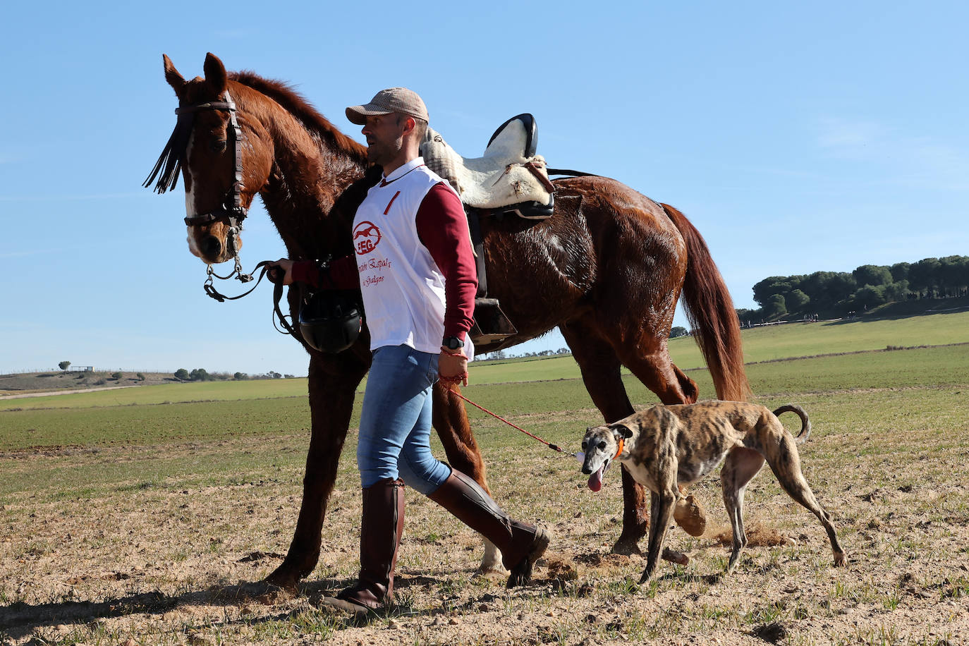 Final del Campeonato de España de Galgos en Nava del Rey