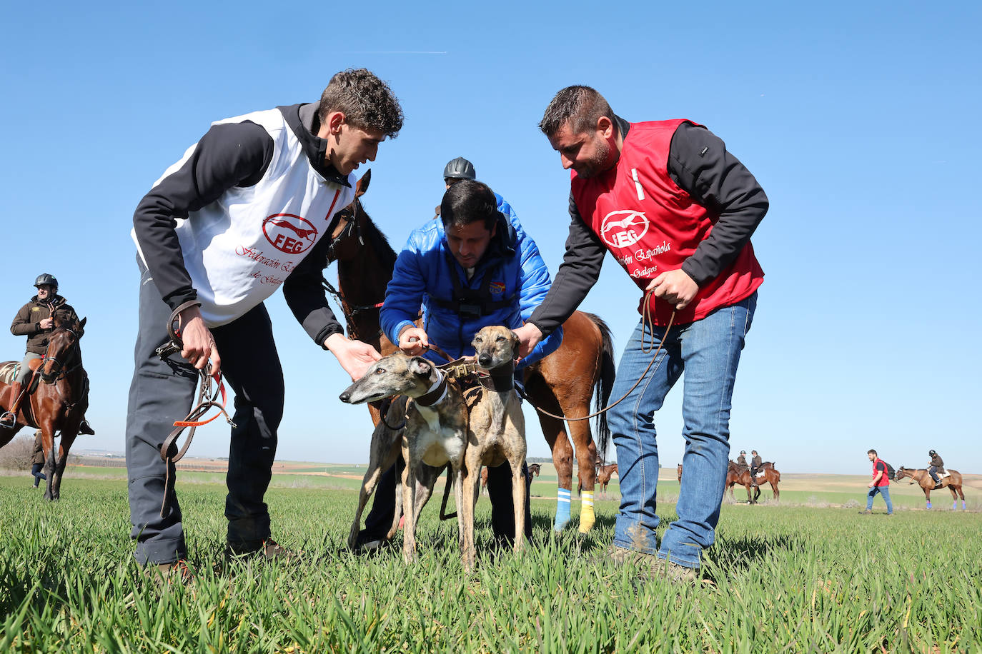 Final del Campeonato de España de Galgos en Nava del Rey