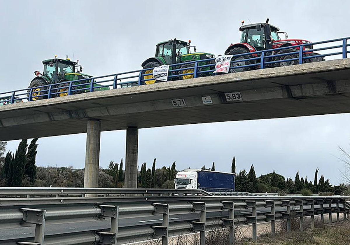 Los tractores, en un paso elevado de la A-11, entre Tudela de Duero y Sardón de Duero.