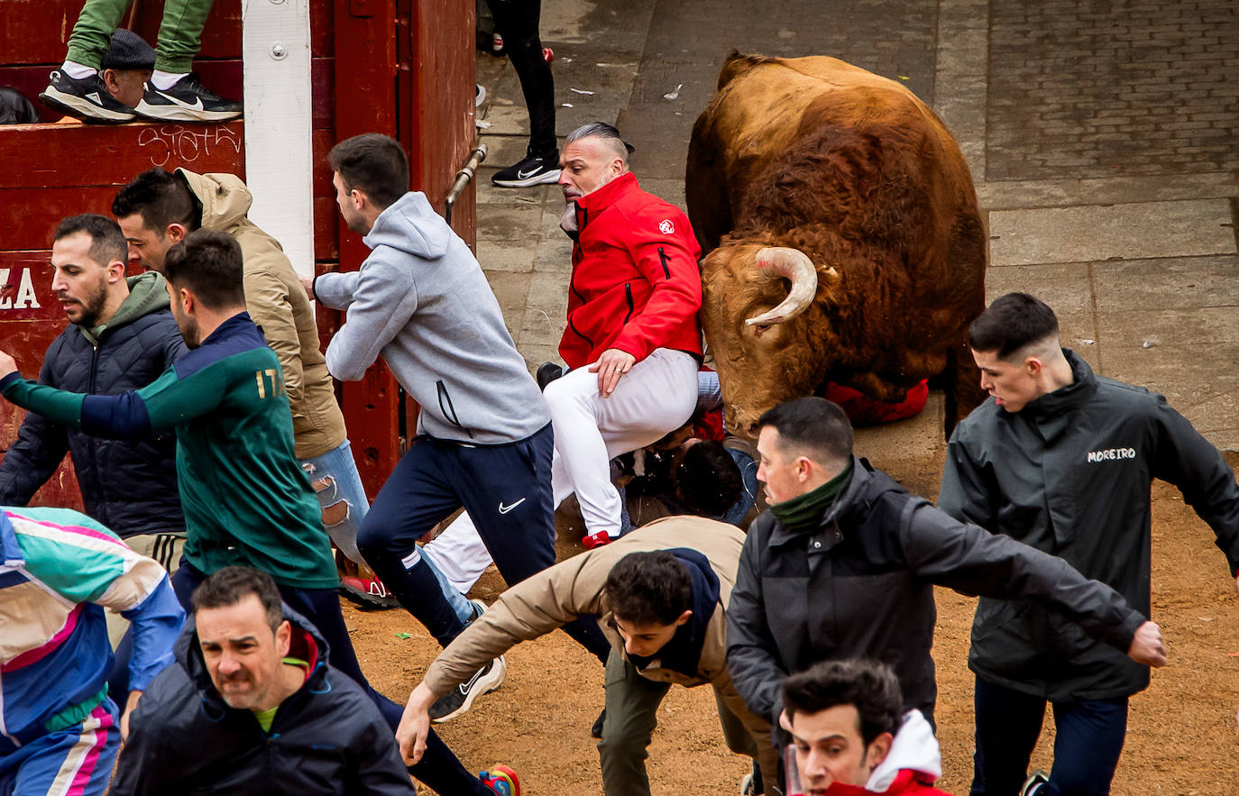 Primer encierro taurino en el Carnaval de Ciudad Rodrigo