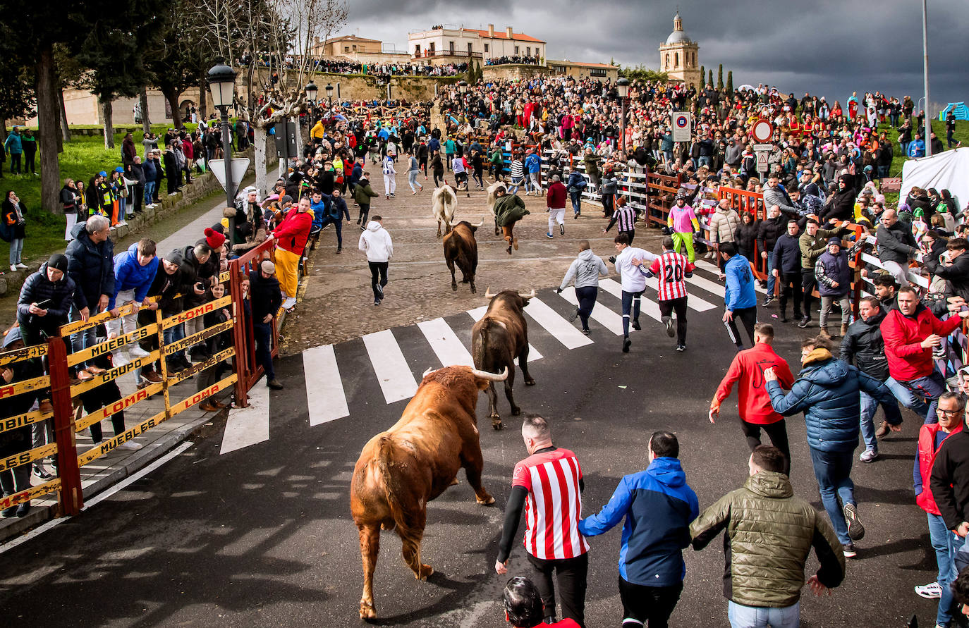 Primer encierro taurino en el Carnaval de Ciudad Rodrigo