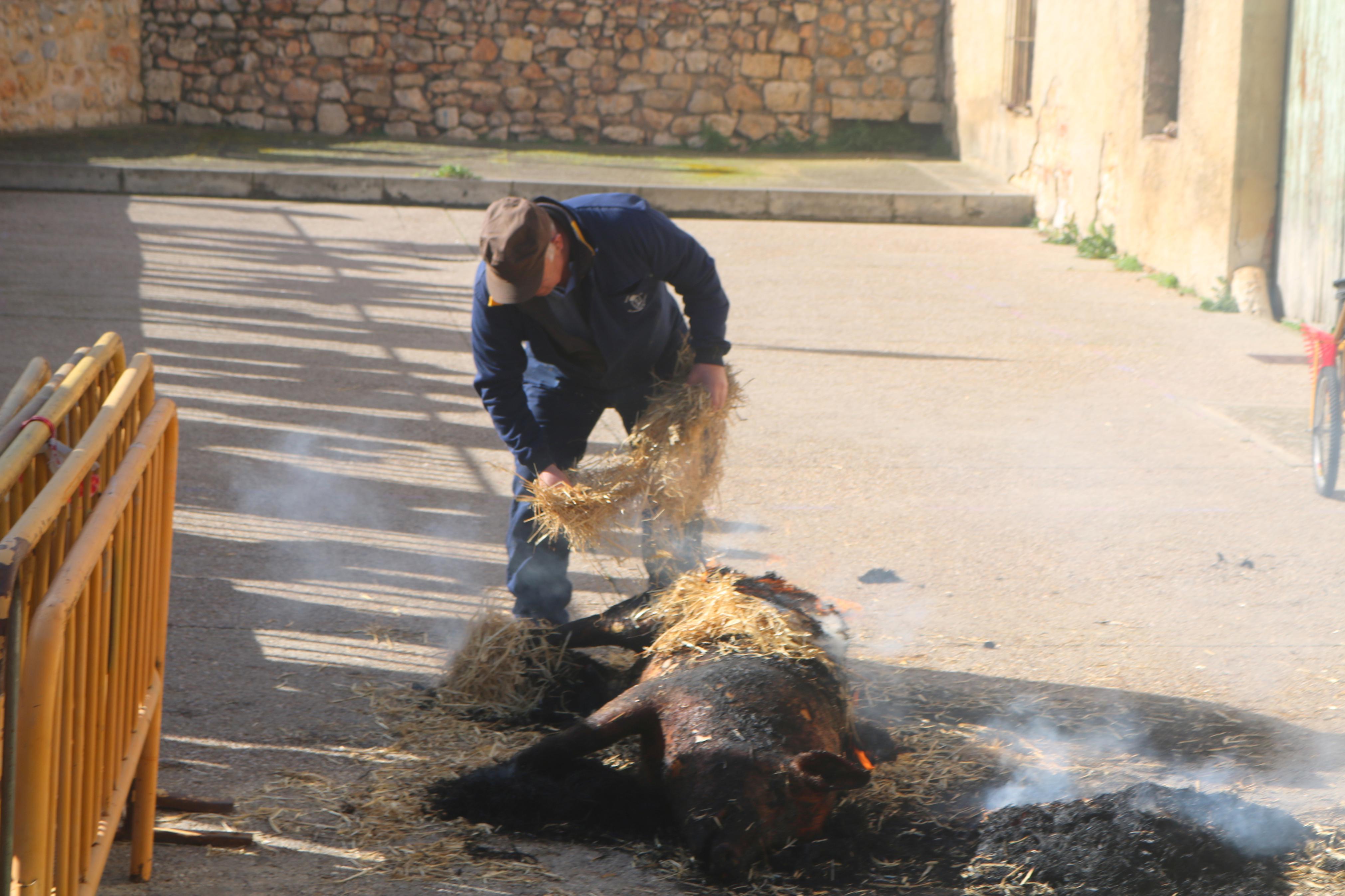 Villamuriel de Cerrato celebra su Fiesta de la Matanza
