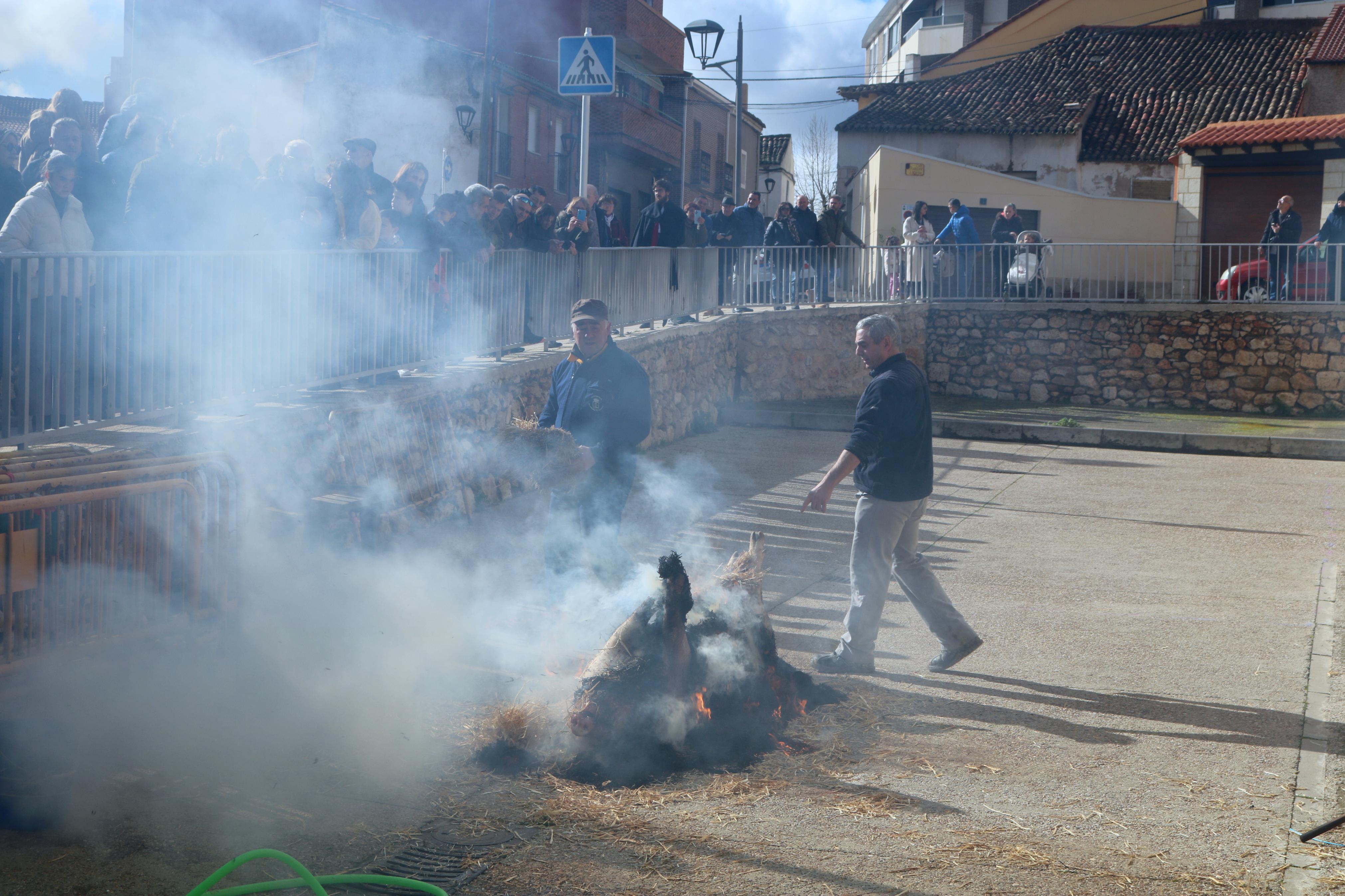 Villamuriel de Cerrato celebra su Fiesta de la Matanza