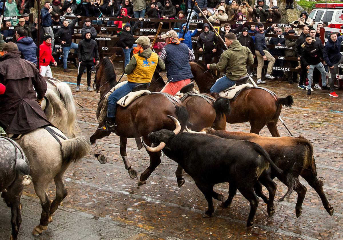 El segundo encierro de Ciudad Rodrigo deja seis heridos