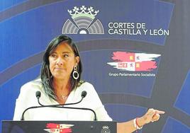 La secretaria de Organización del Partido Socialista de Castilla y León,, Ana Sánchez.
