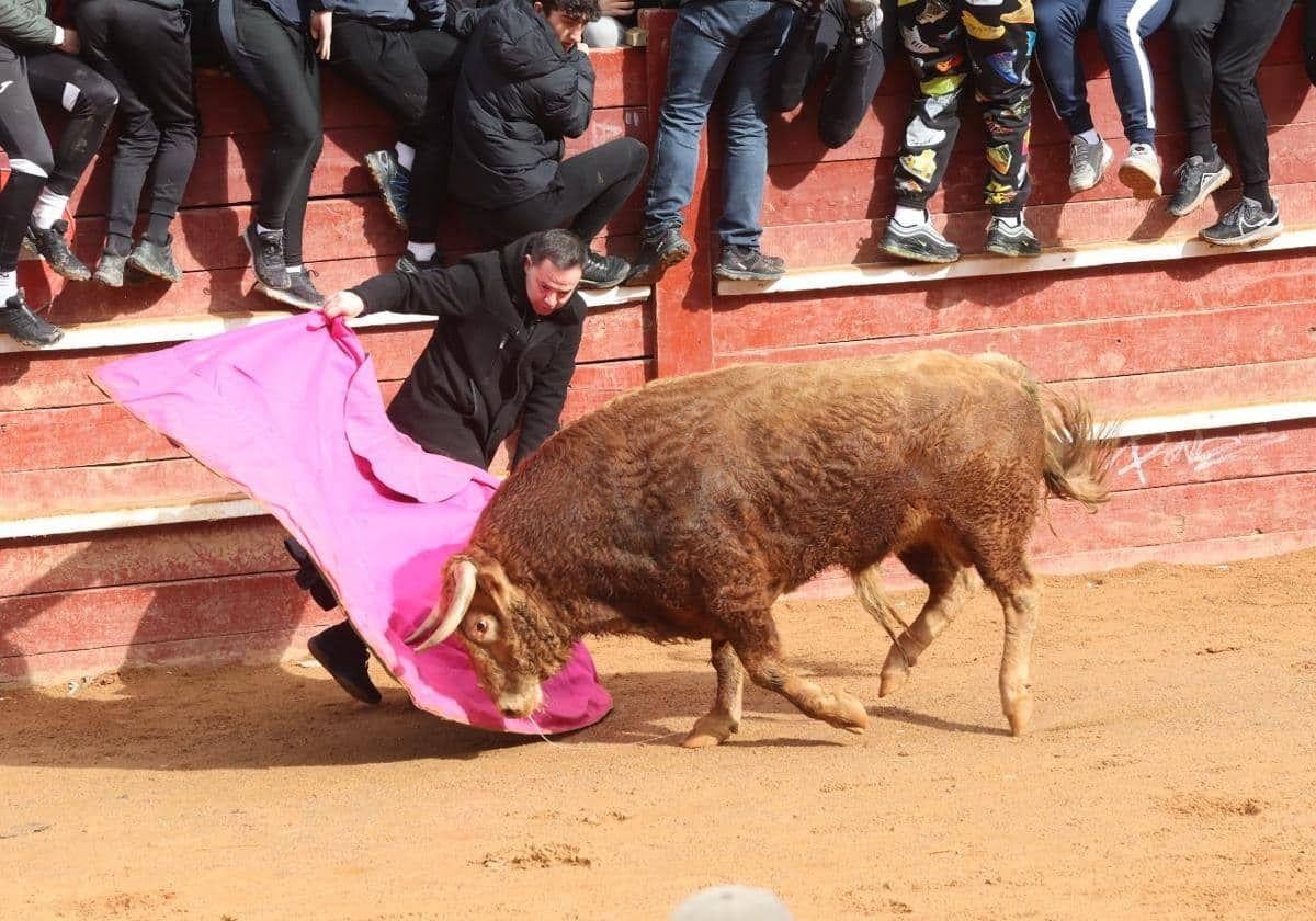 Con alzacuello y sotana, el cura que torea en el Carnaval de Ciudad Rodrigo