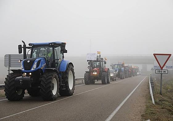 Los tractores se dirigen desde Peñafiel a Valladolid, en la mañana de este miércoles.