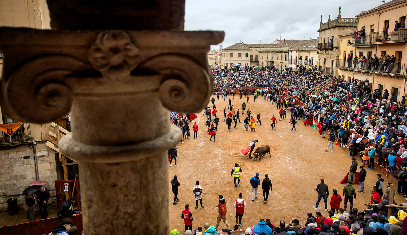 Las espectaculares imágenes del Carnaval del Toro de Ciudad Rodrigo