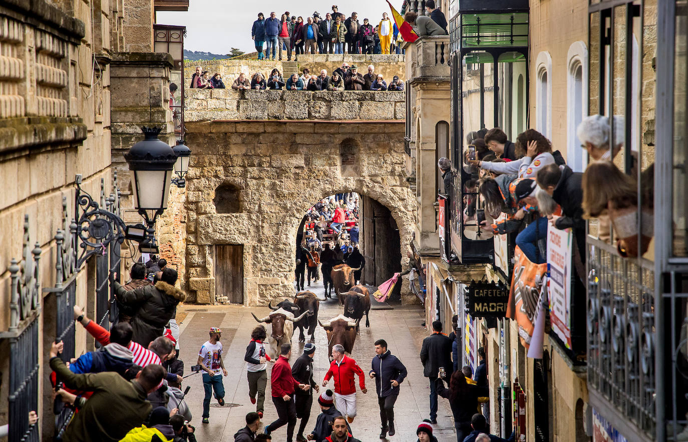 Las espectaculares imágenes del Carnaval del Toro de Ciudad Rodrigo