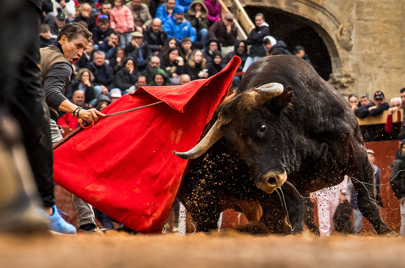 Las espectaculares imágenes del Carnaval del Toro de Ciudad Rodrigo