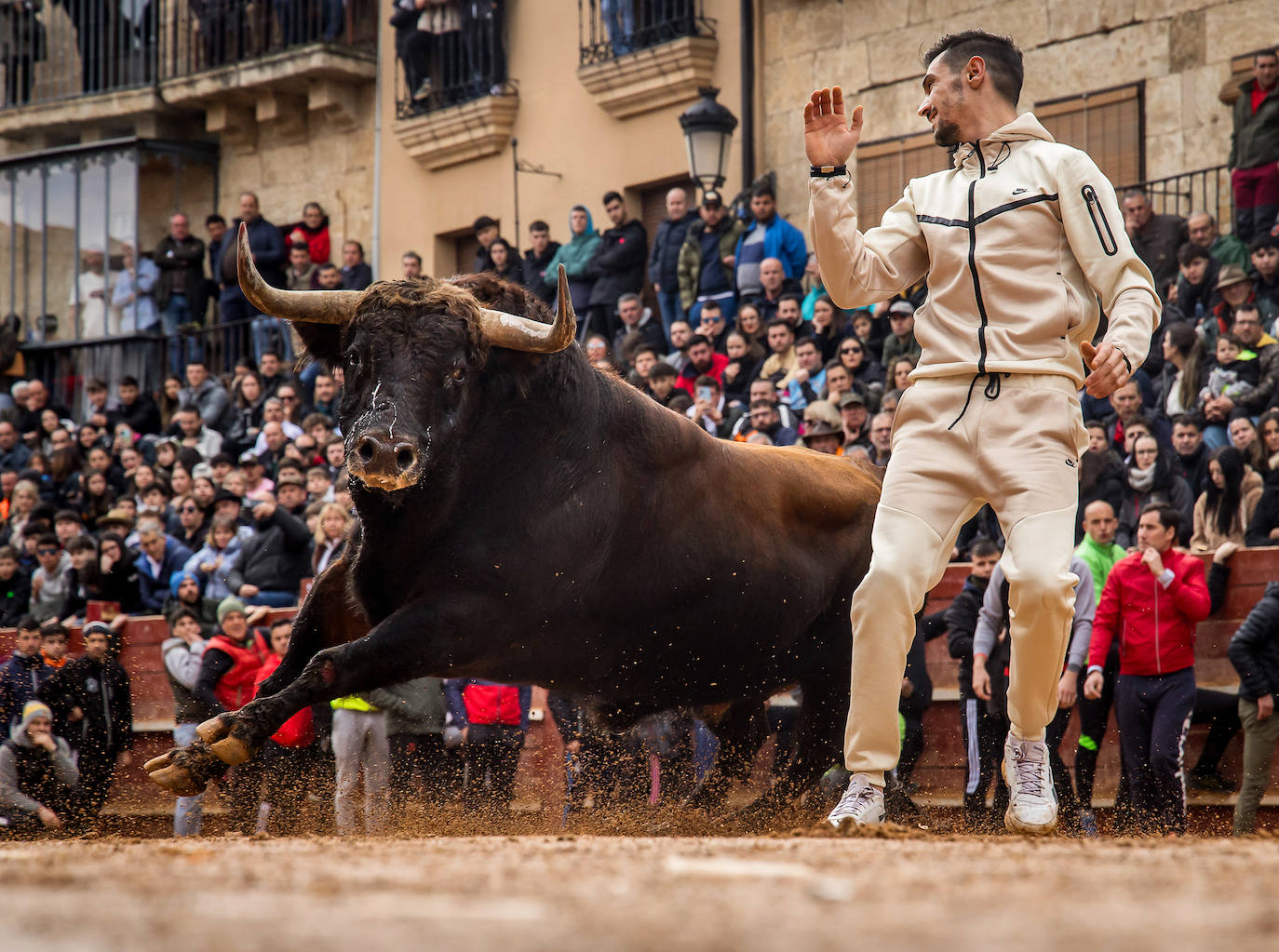 Las espectaculares imágenes del Carnaval del Toro de Ciudad Rodrigo