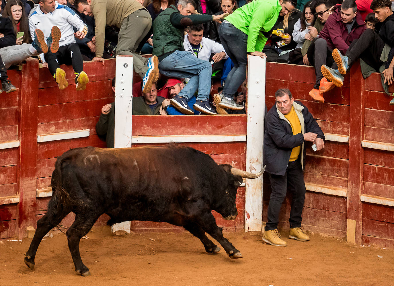 Las espectaculares imágenes del Carnaval del Toro de Ciudad Rodrigo