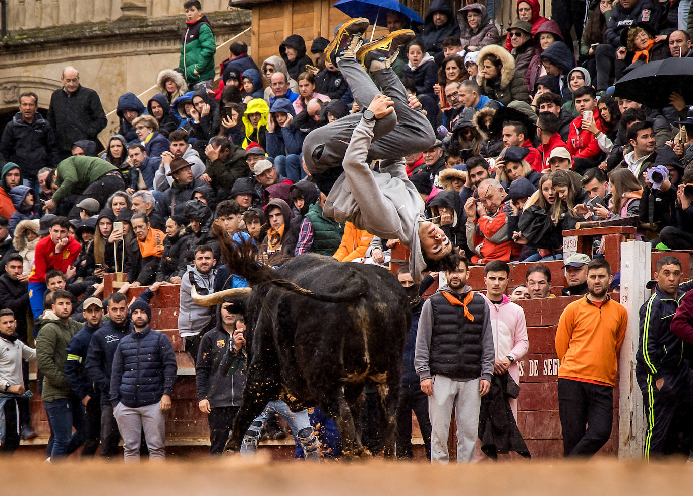 Las espectaculares imágenes del Carnaval del Toro de Ciudad Rodrigo