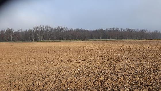 Bruselas aprueba la exención parcial del barbecho durante un año