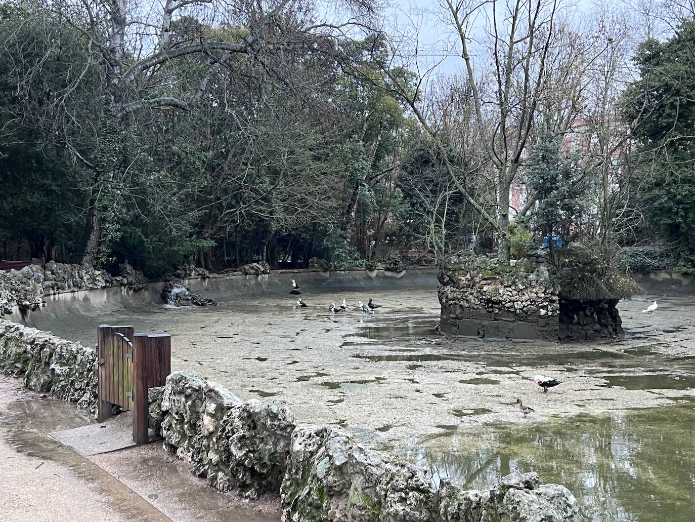 El vaciado del estanque de Campo Grande, en imágenes
