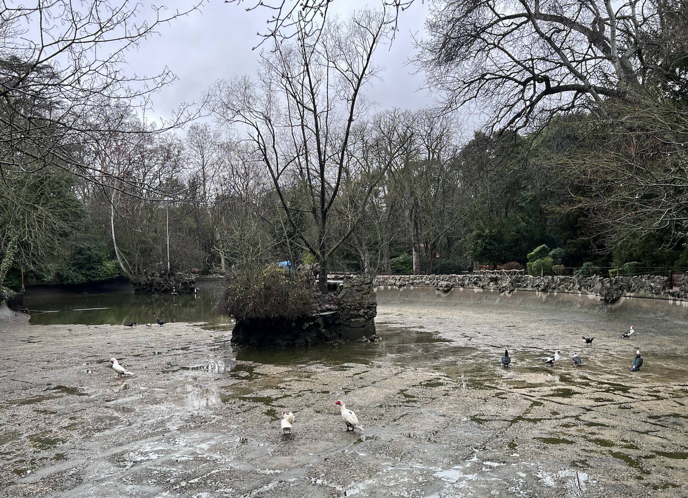 El vaciado del estanque de Campo Grande, en imágenes