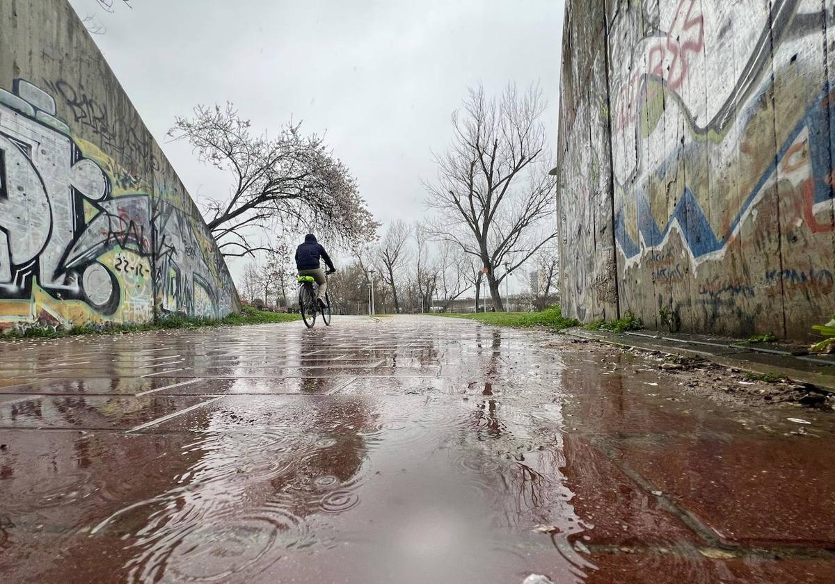 Precipitaciones en Valladolid, sin «lluvia de sangre»