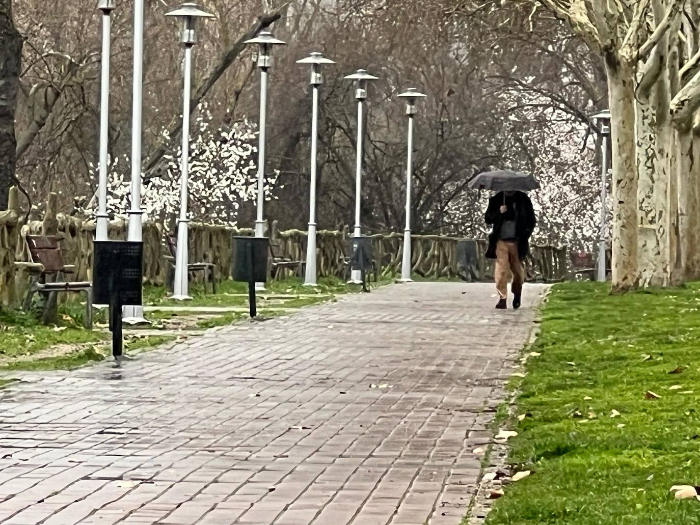 Precipitaciones en Valladolid, sin «lluvia de sangre»