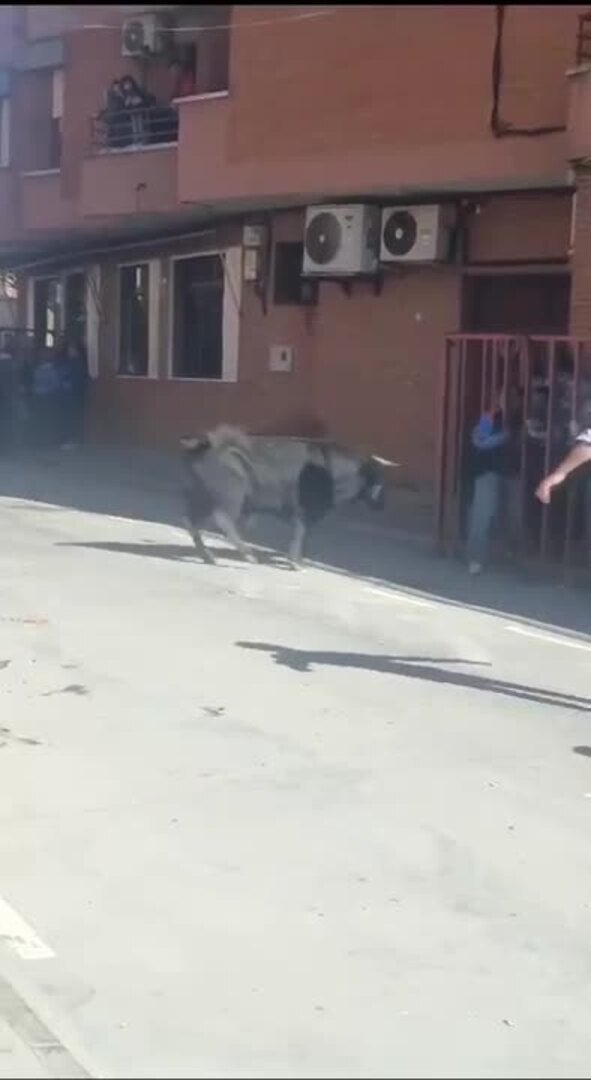 Un youtuber taurino recibe una cornada en Rioseco