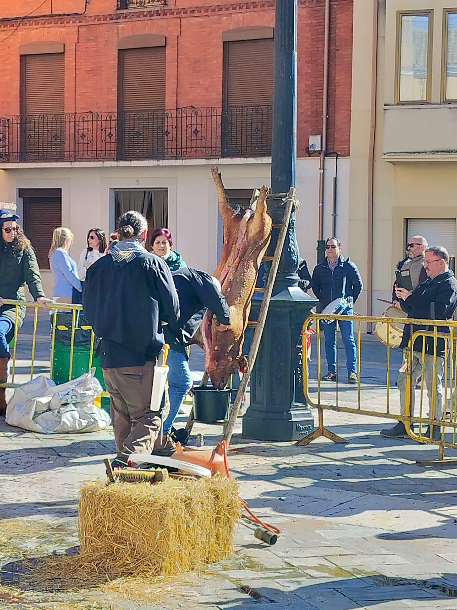 II Fiesta de la Matanza y Mercado Artesano en Torquemada