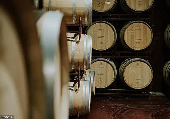 Barricas de la bodega Viña Mayor.