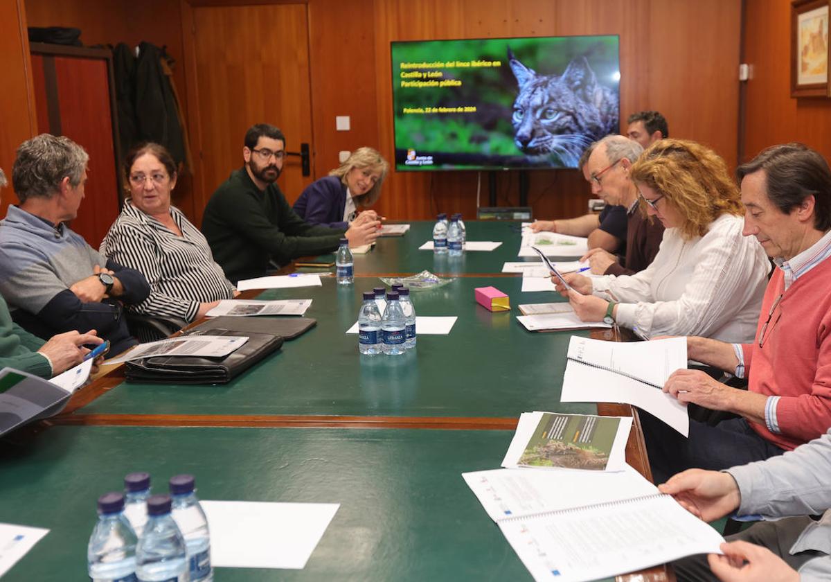 Reunión de alcaldes en la Junta sobre el lince ibérico.